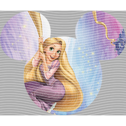 Princess-PR 1993